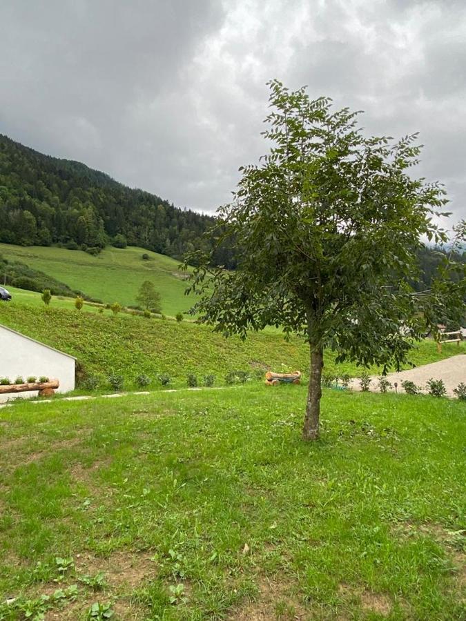 Apartma Lupis Podvolovljek Exterior foto