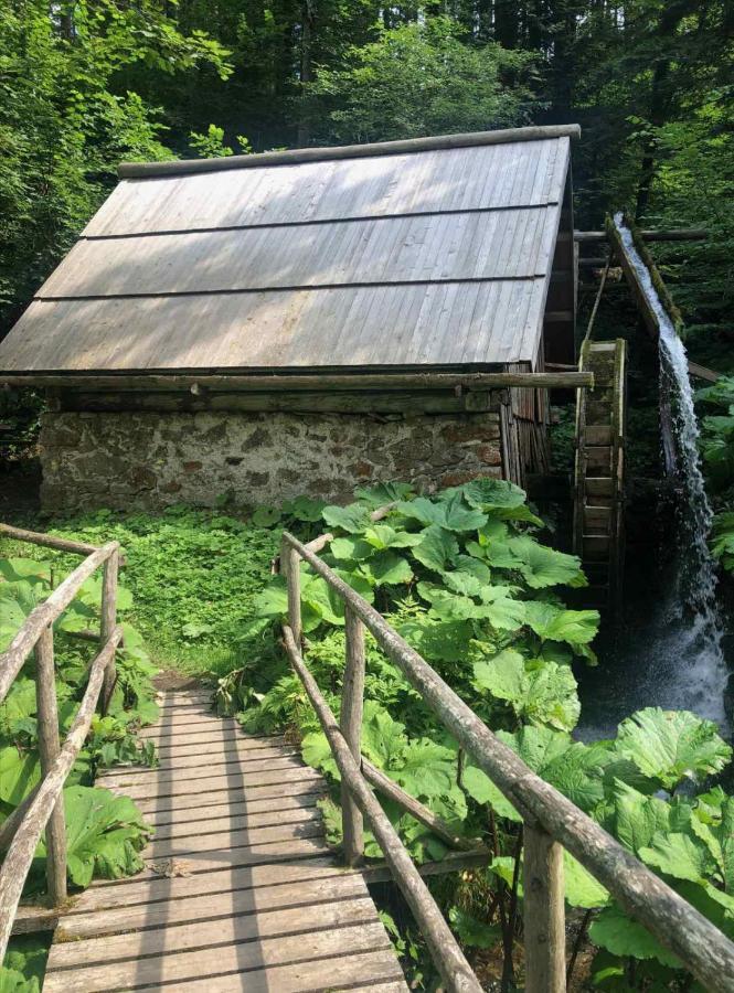 Ferienwohnung Apartma Lupis Podvolovljek Exterior foto