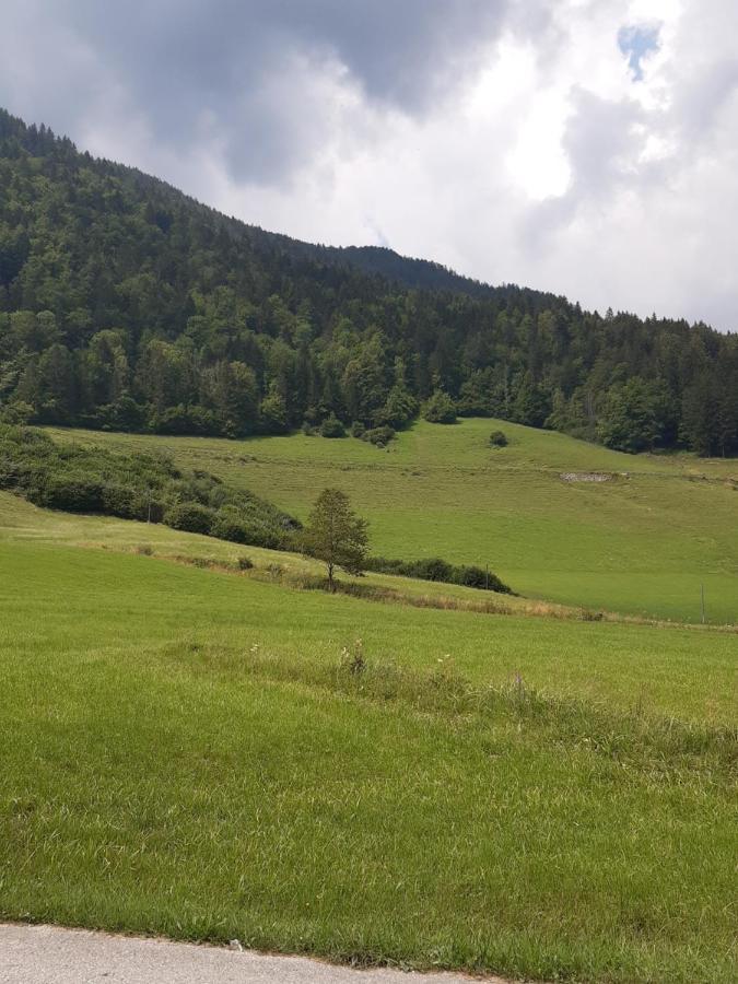 Ferienwohnung Apartma Lupis Podvolovljek Exterior foto